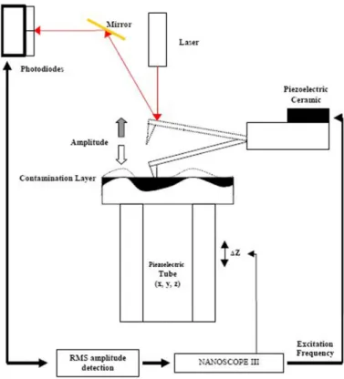 Fig 2.1 Schematic diagram of the tapping mode used for surface roughness measurements in  AFM