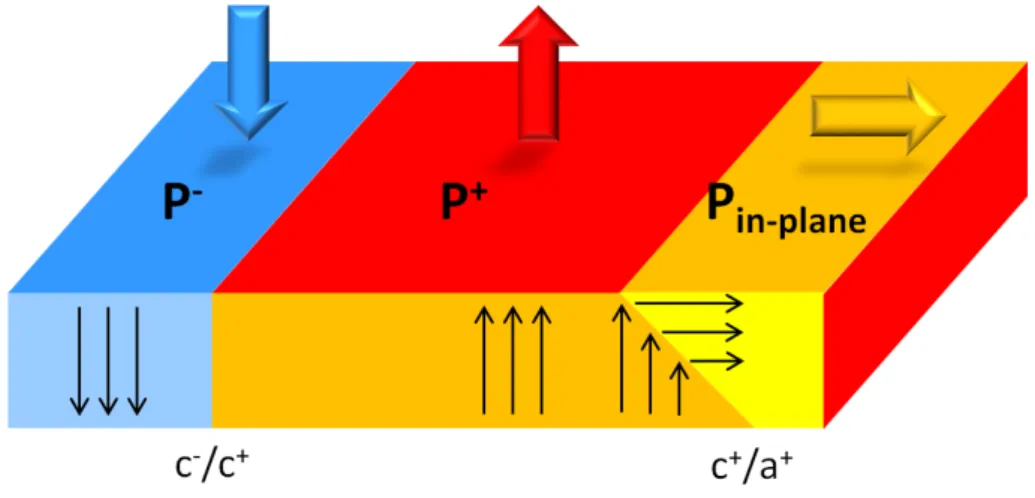 Figure 3.18: Definition of the direction of polarization used in this chapter. The observer (namely electron emission microscopes or other experimental apparatus) looks at the top free surface.