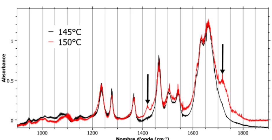 Figure 3.11 : Exemple de spectres d’absorption obtenus pour la molécule de 2’-deoxycytidine pour une température de four de 145 et 150 ˚C.