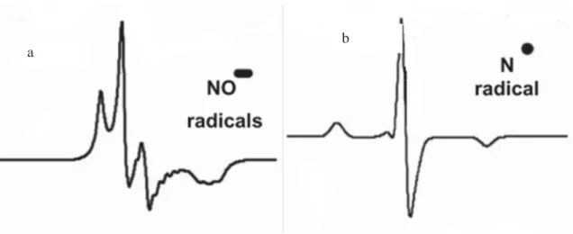 Figure 2.7 Spectres de RPE typiques des radicaux liés à l’N d’après la littérature (a) radical NO* (b) radical N*[222],  [246] 