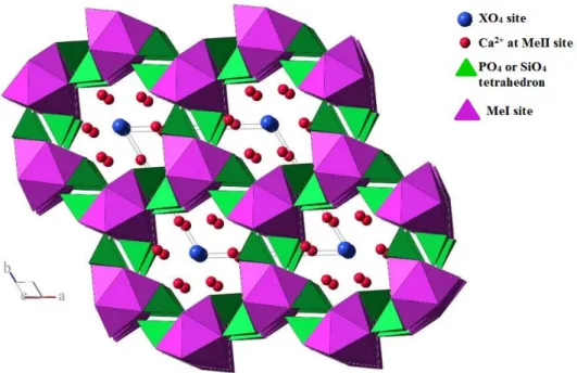 Figure I.3. Representation of the fluoroapatite structure along c axis  18 . 