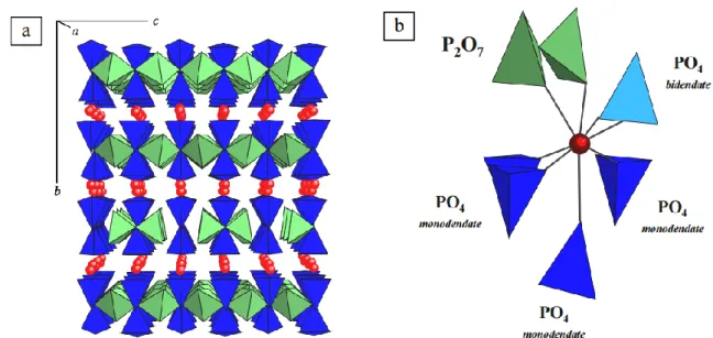 Figure I.4. Representation of the β-TPD structure along a axis (a) and environment of thorium in  the structure (b) 46 