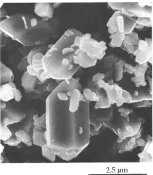 Figure I.7. SEM images of crystals of La 0.5 Ca 0.25 U 0.25 PO 4  synthesized in 30 m H 3 PO 4  at 1053 K,  200 MPa and under reducing conditions (Ni + NiO buffer) 111 