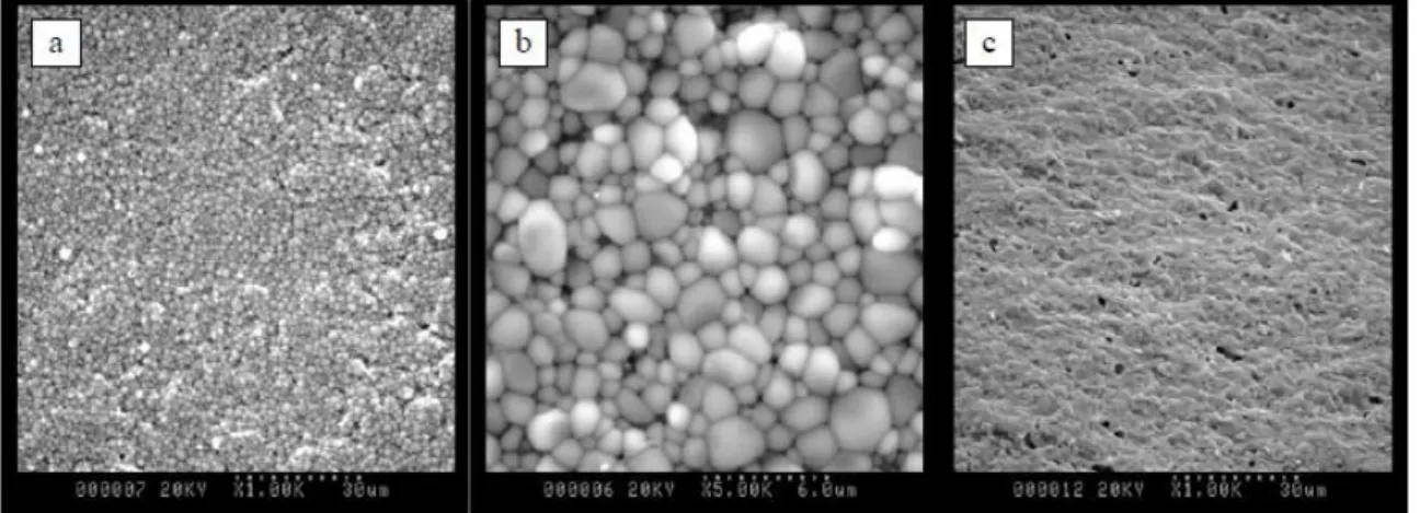 Figure I.8. SEM observations of a sintered Ca 0.5 Th 0.5 PO 4  sample at 1573 K for 6 h: surface  (a)  and (b), frontal breaking (c)  8 