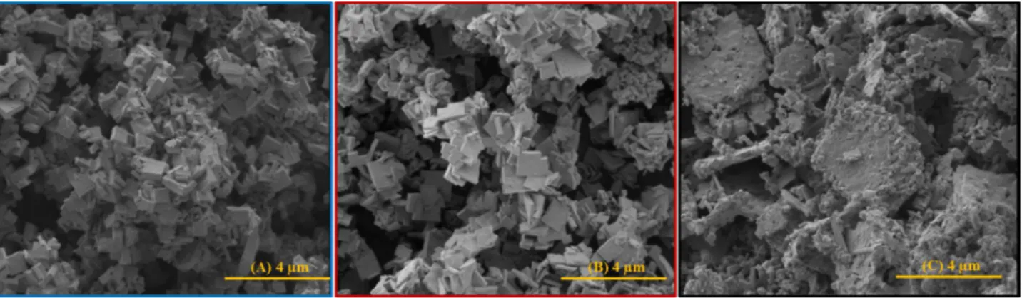 Figure  9.  Micrographies  MEB  des  oxydes  mixtes  pour  les  différents  systèmes  étudiés :  Th 0,25 U 0,75 O 2  (A); Th 0,75 U 0,25 O 2  (B) et U 0,75 Ce 0,25 O 2  (C)  