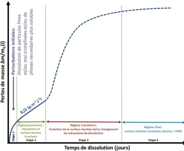 Figure 14.  Représentation schématique de l’évolution de la perte de masse relative cumulée  calculée  à  partir  d’un  élément  i  (Δm(i)/m 0   (i))  au  cours  de  la  dissolution  d’un  matériau : courbe caractéristique d’expérience en conditions statiq