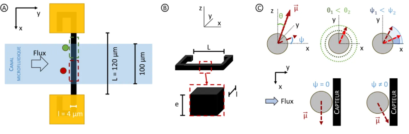 Figure 3.3 – A) Passage de deux objets aimantés dans le canal. Les portions utiles du capteur sont indiquées en pointillés pour chacun des deux objets