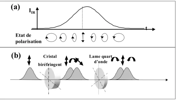 Fig. 2.17: Principe du confinement temporel par porte de polarisation. (a) Impulsion laser