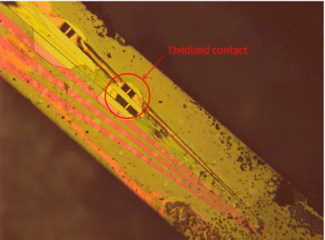 Figure 2.20: Oxidized Ta/Cu: Ta contacts after 2 days immersed in water.