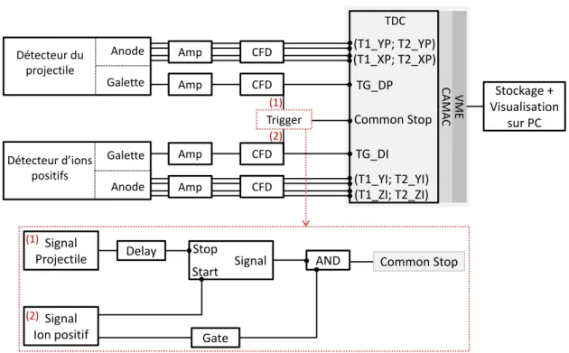 Figure 3.6 – Schéma de l’électronique montrant les étapes de traitement des signaux, issus des deux détecteurs (ions positifs et projectiles), dans les différents modules jusqu’au PC.