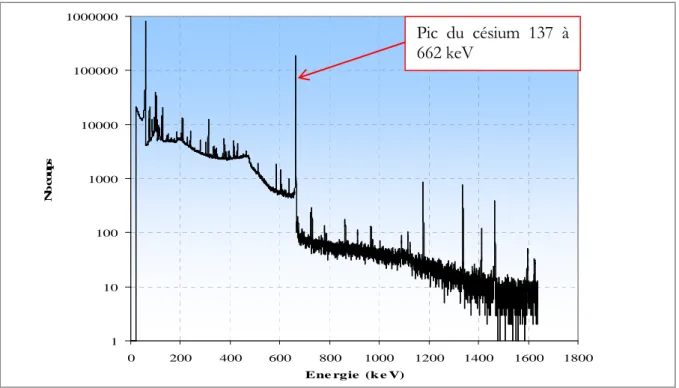 figure 1 : Exemple de spectre d'acquisition contenant notamment du césium 137 