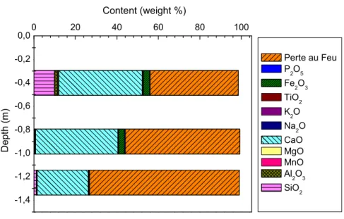 Figure 11 : Résultats de la perte au feu à 1000°C et des analyses chimiques élémentaires exprimés en 