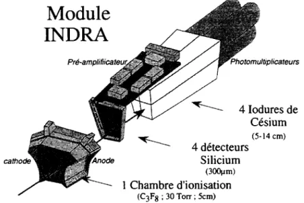 Figure 2.3: Exemple d'un module de détection d'INDRA où on peut voir la disposi- disposi-tion de différentes types de détecteurs.