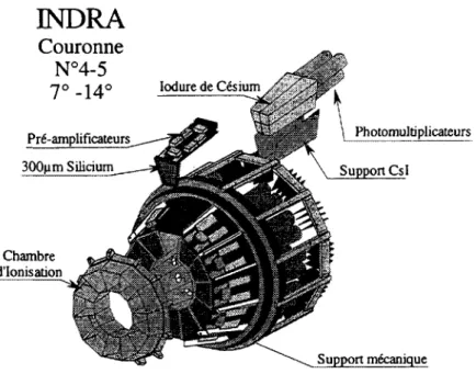 Figure 2.5: Image des couronnes 4 et 5 d'INDRA avec ces 48 cellules de détection.