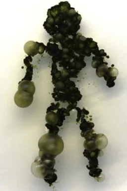 Figure 2 Cyanobacteria in art. 