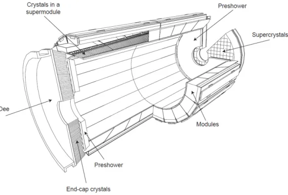 Figure 2.18: Layout of the ECAL with the barrel supermodules, the two endcaps and the preshower subdetectors.