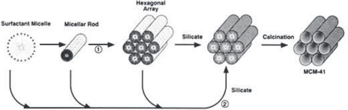 Fig. II.3 – Scheme for the liquid-crystal templating mechanism proposed by Mobil scientists: (1) silicate  aggregation around organized micellar rods (liquid-crystal templating or LCT) and (2) formation of 