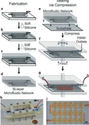 Figure  I-3 :  Processus  de  fabrication  d’une  puce  hydride  PDMS/Ecoflex  et  principe  du  scellement  par  compression