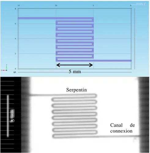 Figure III-5 : Capture d’écran du logiciel COMSOL présentant la géométrie dessinée pour simuler la dé- dé-formation  mécanique  du  capteur  (en  haut)