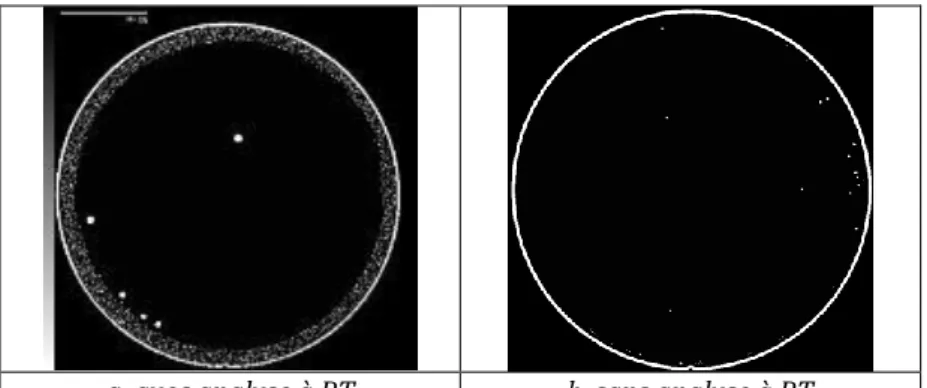 Figure  2-14.  Images  SAM  de  collages  LPCVD  SiN//Si  (30  nm)  recuit  de  façon  isotherme  à  200°C  durant  2  heures