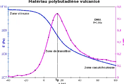 Figure I.23 : Evolution représentative du module d’Young d’un polymère en fonction de la     température