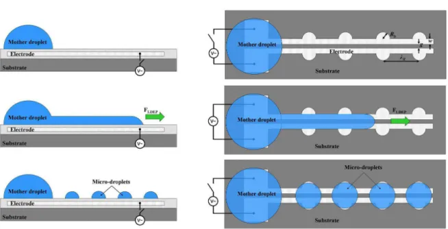 Fig. 19 : Illustration du phénomène de formation de microgouttes par LDEP. 