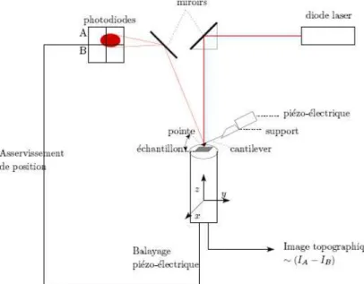 Figure 5.1: Représentation schématique du système de détection optique, du déplacement du can- can-tilever et de l’asservissement dans un AFM.