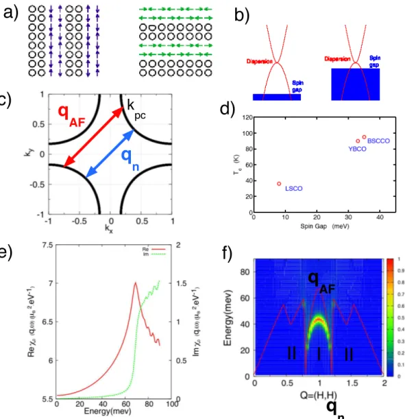 Fig. 1.10: Interpr´ etation de la dynamique de spins dans les cuprates : a) sch´ emas de l’ordre de charge et de spin propos´ e dans les cuprates pour rendre compte de la dynamique de spins