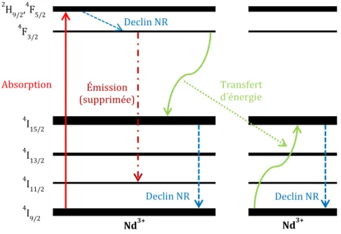 Fig.  F2  Illustration  du  phénomène  de  relaxation  croisée  due  au  transfert  d’énergie  entre  des  ions  néodyme communicants