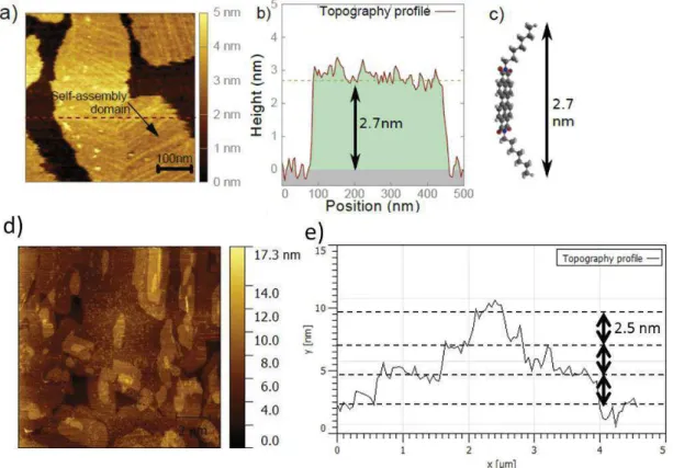 Figure 1.23: (a) AFM topographic image of a 1.6 nm thick PTCDI-C7 self-assembled thin film on mica revealing growth domains with different orientations
