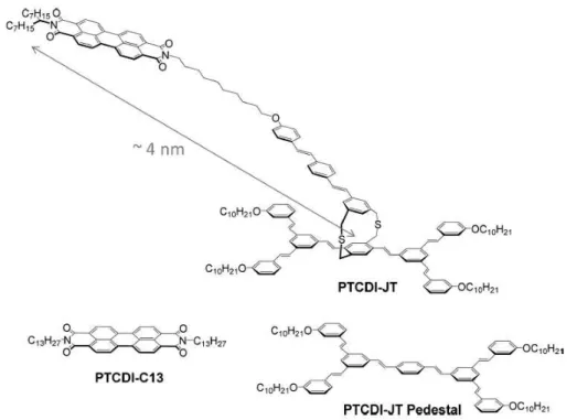 Figure 2.4: Schematic Structures of the Two-Faced Janus Tecton PTCDI-JT, PTCDI-JT Pedestal, and N,N ′ -Ditridecyl-3,4,9,10-perylenedicarboximide PTCDI-C13 Molecules.