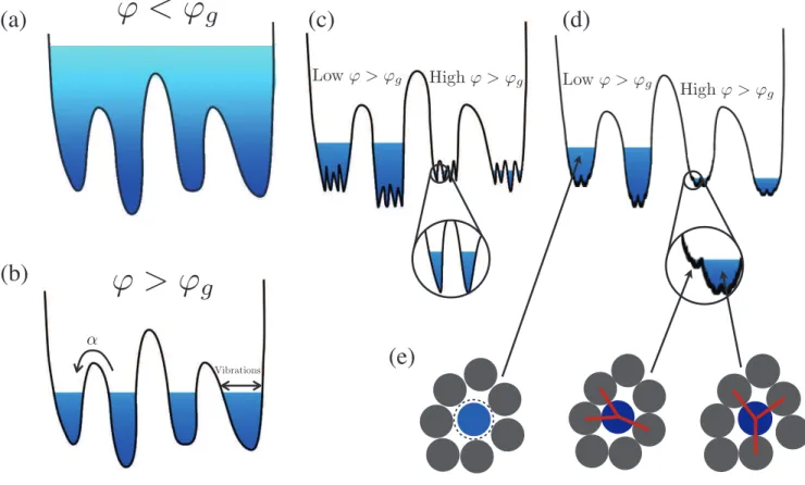 FIG. 1. Schematic depictions of (a) the liquid state at packing fractions ϕ that are smaller than the glass transition ϕ g , and of free energy basins for different landscape scenarios: (b) classical stable basins, (c) metabasins of subbasins, (d) and meta
