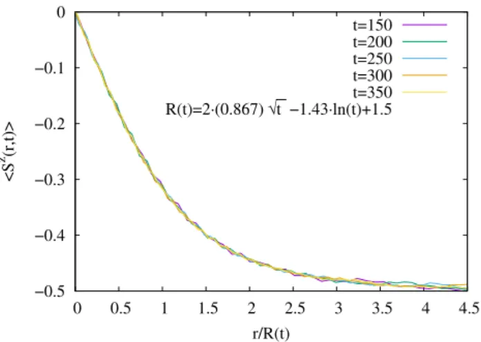 FIG. 5: Magnetization profiles at different times, plotted as a function of the rescaled distance r/R(t), where R(t) is defined in Eq