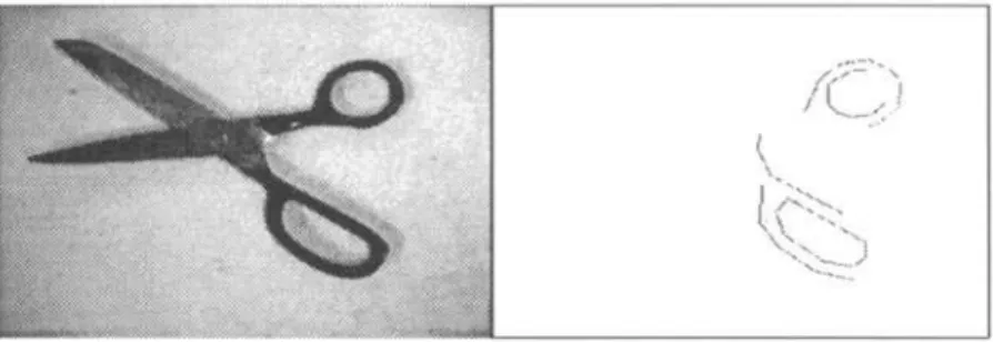 Figure  12:  The  image of a  pair of cisors and  the  detected curves. 