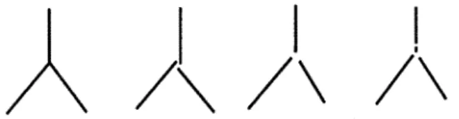 Figure 5  shows  perfect junctions  and  symmetries and  the  configurations  altered by segmentation