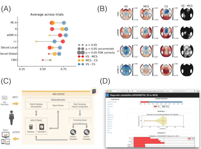 Figure 1. Overview on the automated approach to measurement and diagnostics of consciousness