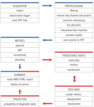 Figure 2. Schematic EEG data-processing workflow. The proce- proce-dure comprises two complementary routines, depicted by blue and red connecting arrows between the steps