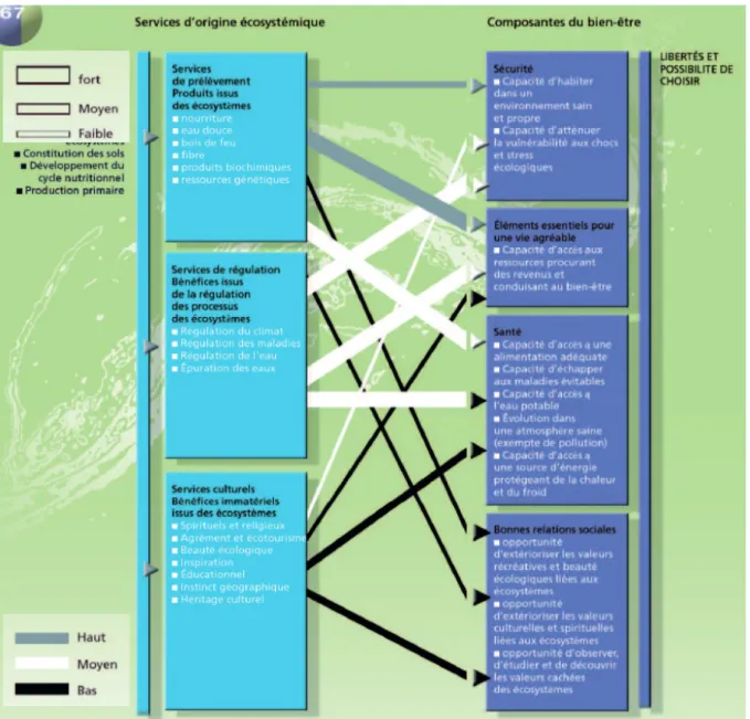 Figure 2. La typologie des services du Millenium Ecosystem Assessment (2005).