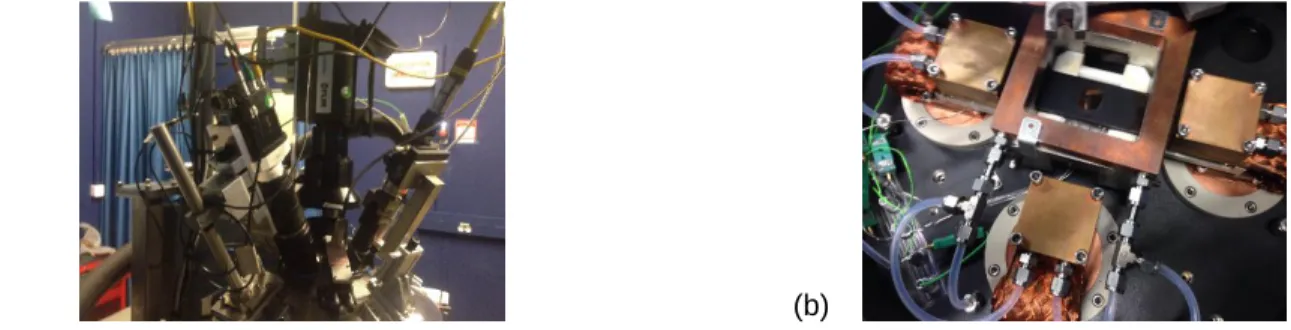 Figure 1: Experimental setup (a) and characterized sample (b) within the chamber  3.  Stereocorrelation  