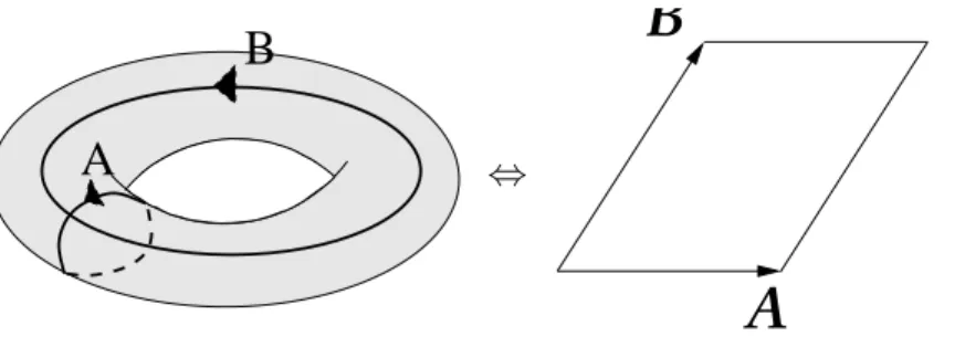 Figure 2: Example of canonical cycles and the corresponding fundamental domain in the case of the torus (genus g/ = 1).