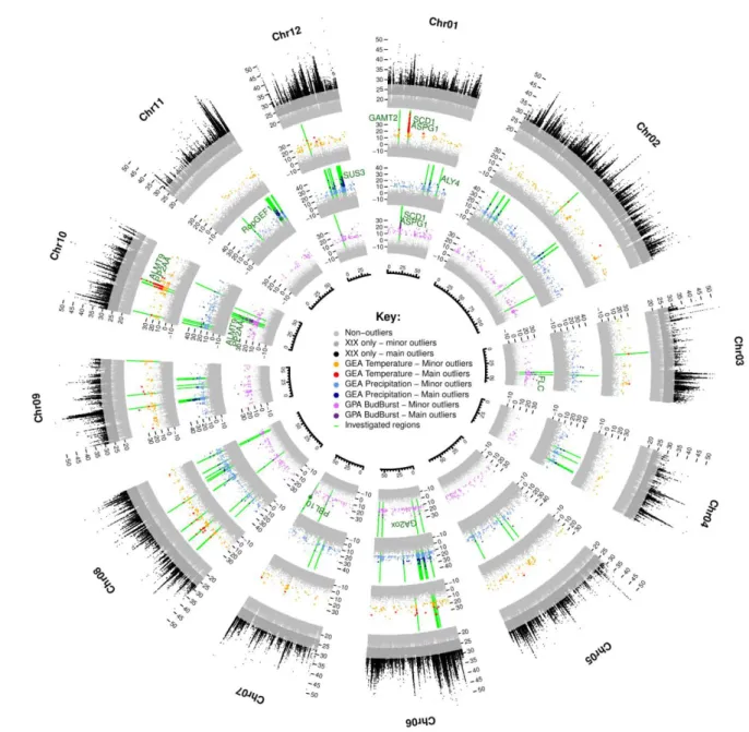 Fig.  2  Circular  summary  of  the  genome-wide  scans  for  divergence,  GEA  and  GPA  associations