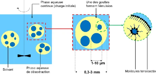 Figure II.3 : Schéma de principe de la technologie à membrane liquide émulsionnée. Schéma repris  de la publication [18] 