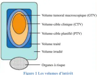 Figure 1  Les volumes d’intérêt