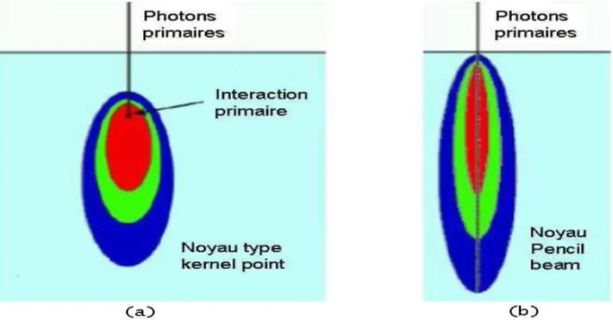 Figure 27:  Noyaux de convolution : (a) noyau représentant la répartition de l’énergie libérée par des interactions de  photons primaires ayant lieu en un point unique ; (b) un noyau de type pencil beam,  représentant la dose déposée par  un faisceau de se