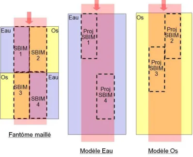 Figure 37 Un faisceau composé de 4 SBIMs dans un fantôme maillé 