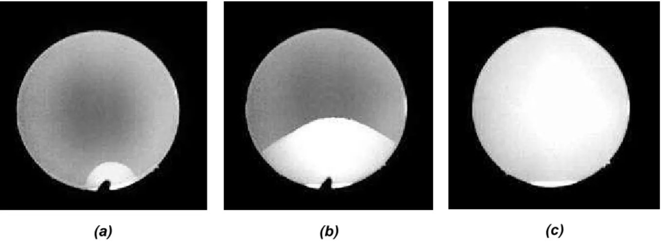Figure II-3 : Observations d’une onde de collage sous un microscope  infrarouge (autour de 1.3  µm) pendant le collage de deux plaquettes de silicium de 100 mm de diamètre