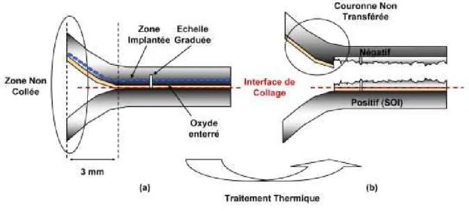 Figure  II-9 :  Représentation  schématique  d’un  bord  de  plaque  (a)  avant  et  (b)  après  transfert