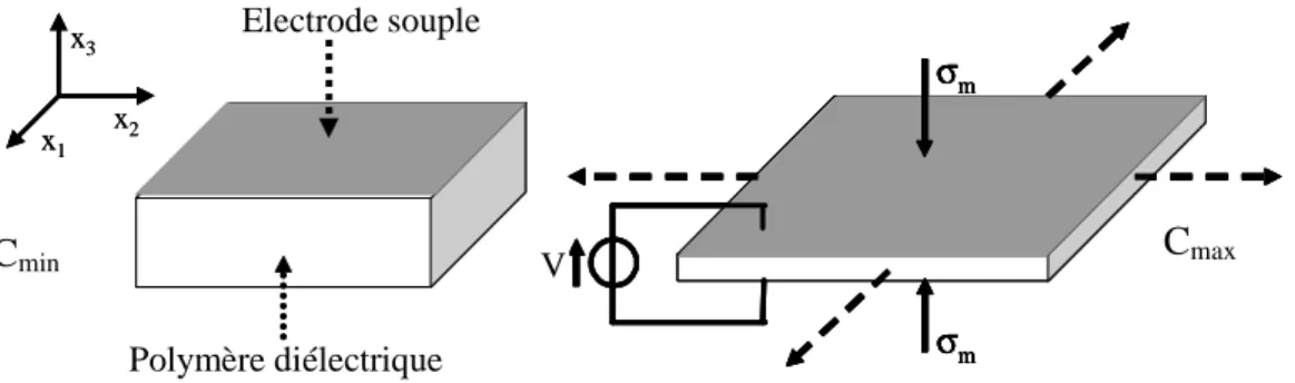 Figure 2.1 : Principe de fonctionnement en mode actionneur d’un polymère diélectrique 