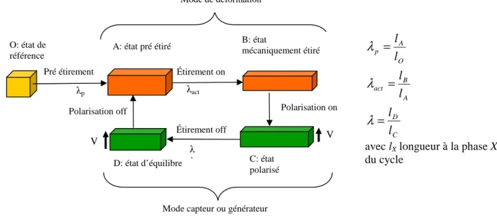 Figure 2.3 : Cycle de fonctionnement en mode générateur d’un polymère diélectrique 