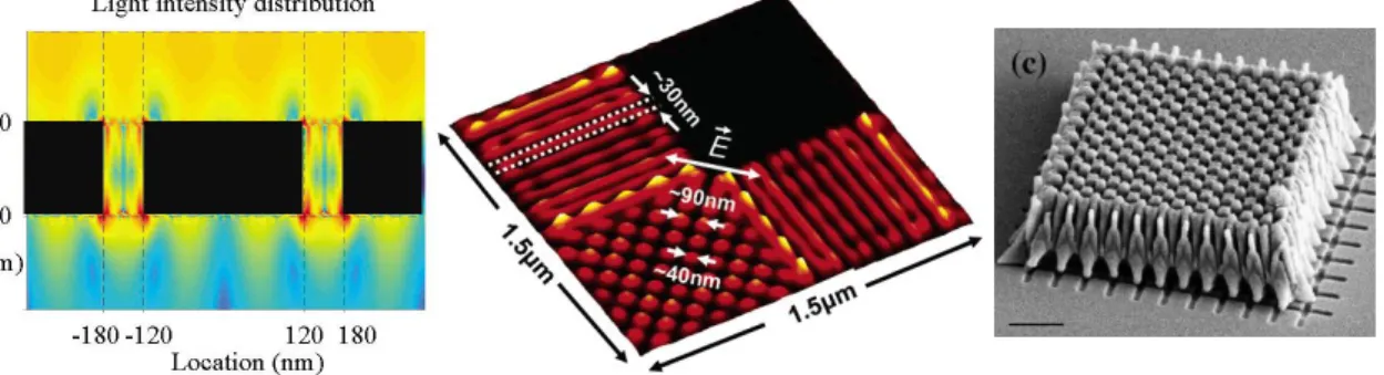 Fig. 1.11: Exemples de lithographies realisees par interference de plasmons de surface